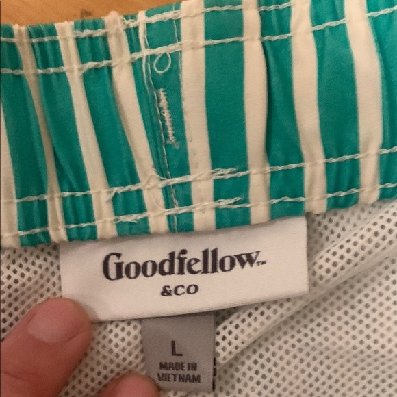 Green and White Striped Men Bathing Suit - Picture 2 of 8